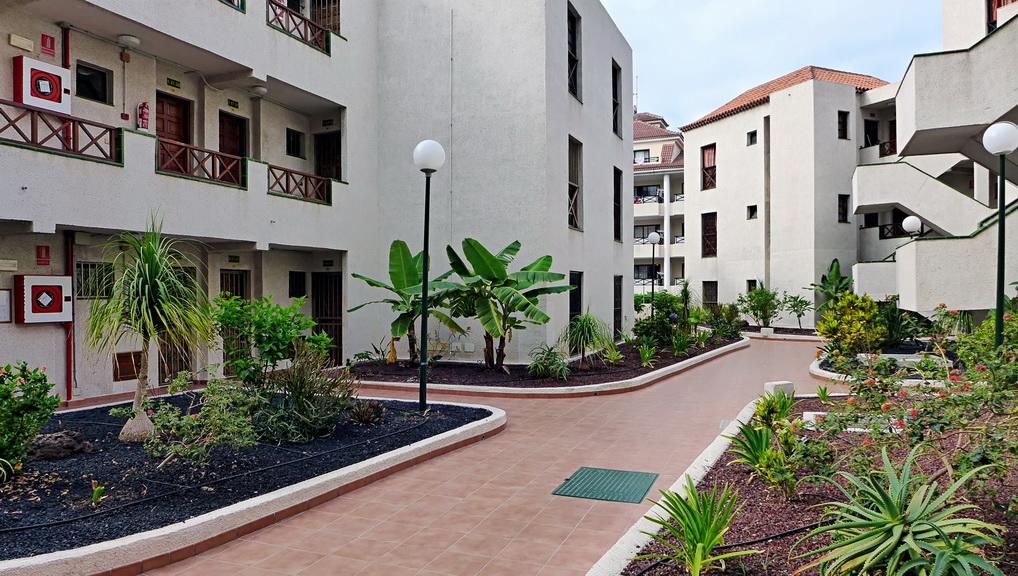 Apartment Andorra Playa de las Americas  Exterior photo